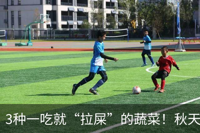 3种一吃就“拉屎”的蔬菜！秋天吃正当时，鲜嫩营养，润燥养人，便便顺畅了，肠道也舒服了！